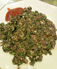 ����ɮĵ��������