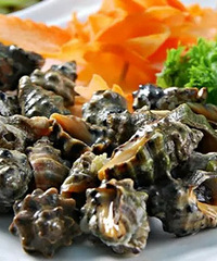 [һ����]����������� ���͡�̨��֮�ǡ�