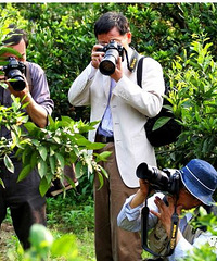 [��Ķ]ӿȪ2015����߽��ٻ��ڿ�Ļ��