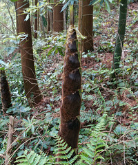 л԰~Ʒ~ٸڼ~Ҽ⣩Խ