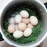 神秘料煮鸡蛋