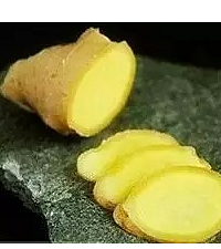 [��һС����]ת�����γ����˿���