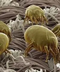 [˯��ϯ]�����������������ˣ�