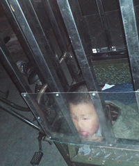 "小男孩为何被关在铁笼子里?"