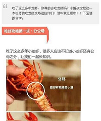 [ʵ��]�Ի��ر� ԭ����С��ϺҲ����ô���ŵ�