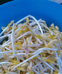 [ʵ��]�Լ��� �����³Ե��޸��صĶ���ѿ��