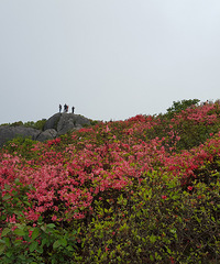 再上大雷山别样的风情