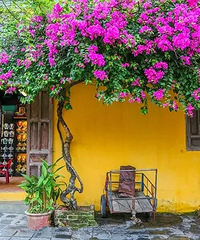 [��ȫ�ܽ�]��һ��ȥ̩�� ��ΰ����г̣�