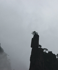 黄山归来不看岳