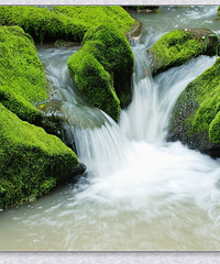 �ɾ� ��̦��