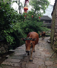 ��ɽ������ʱ��֮���������ĳ���֮��