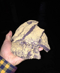 ����Ȼ����Ⱦ���ڷ����٣�����ܺó�