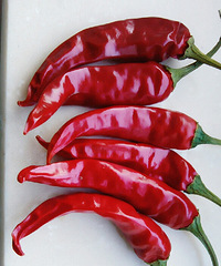 ʮ������Ϻ������ �Դ�