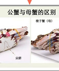 [������ʮ��������������]�����ʾ��⼸�У�