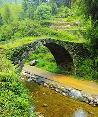 行走仙居之记忆——行走苍岭古道的那些时光片段