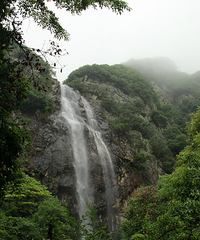 ���Ҵ��ٲ�