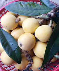 �����˹������� ������������ͻ������