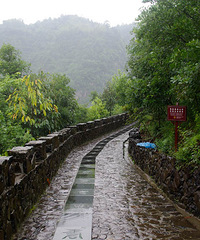 5.1617磐安行 古茶场,农家乐,舞龙峡