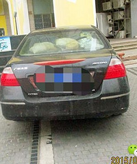 ���е�ͣ�����䣬������β���������!