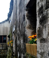 ǰͯ���� �����о�����С�� ż����һ�»���