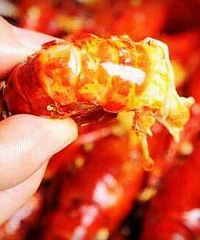 【吃货福利】金湖龙虾:免费试吃,送货上门