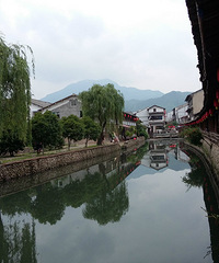 【旅游日记】大山深处偶遇满谷桐子花——楠溪江一日游记