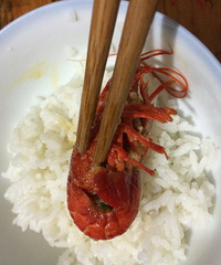 【金湖龙虾免费试吃】+蒜泥小龙虾