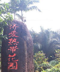 海南我来了