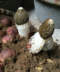 ��Ҳ²������ʲô�ö�����~