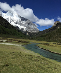 ֮---Ƕɭֹ԰Ƕɭֹ԰