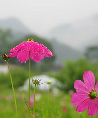 øɣ Ȼϸ࣬ȴԵһ⾳