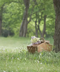 [�ղ�]������Щʳ��ȥҰ�� ������ĺ�����