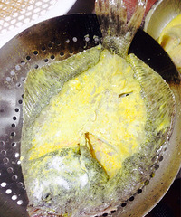 ����������౦��