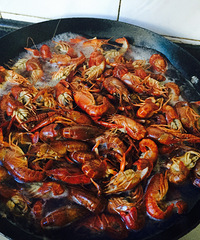 ССС��Ϻ������