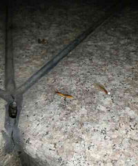 �ϳ������Ϻö���ϣ������п�����