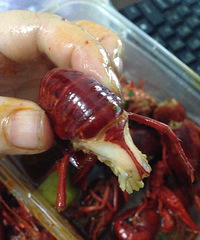 �����Ϻ������ʮ�����������������һ��