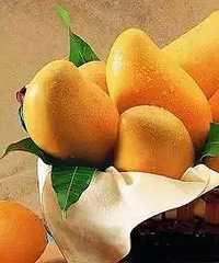 [ʵ��]����äĿ���ˣ�������ʳ�Ž�����