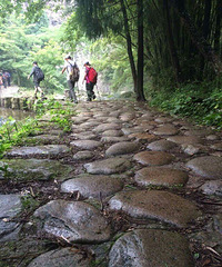 雁荡狮子岩燕尾瀑筋竹涧穿越 全程约18公里