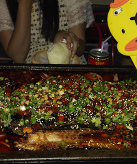 ��һ������ʳ��鷢�����ü�����˵