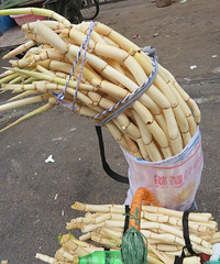 ��ЩҰ��������ʶ���� ����ʶ˵˵�ɣ�