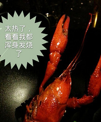 ��������Ϻ����Գԡ�һ��û�����̵����֮ս@·�ŵ�