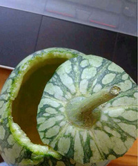 ��ɹ��͸�¥����Ů�˵��������