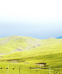 [����]���Ի�������͵������ˣ�