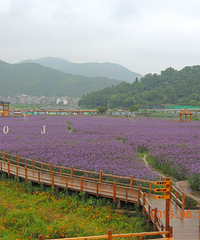 端午游走筋竹涧观光园&石栀岩&龙湾潭
