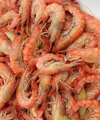 ��ĵģ������ѵ���ۣ������ǵ�����ؾ��쳤~