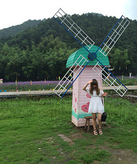 93��·���� ˫�� ϲ��˹���������