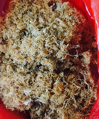 ����������˸�úó�