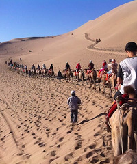 ������ɳɽ����������