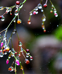 �������㵴��������������羰���ޣ�