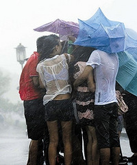 ��������NO.33��������׷��������Ů